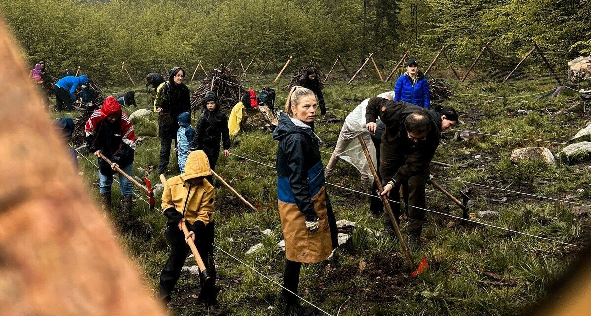 NaturaMed vysadil část lesa na jihočeské Kleti